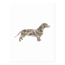 Dachshund Post Card
