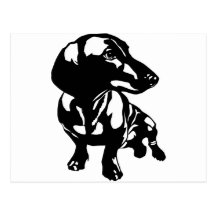 Dachshund Postcard