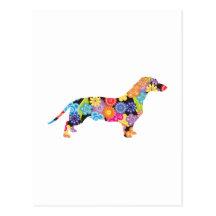 Dachshund Postcard