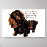 Dachshund Poster