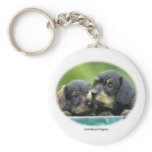 Dachshund Puppies 9W027D-093 Keychain