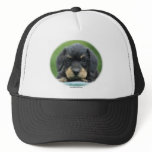 Dachshund Puppy 9W027D-084 Hat