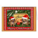 Dachshund Puppy Christmas Card
