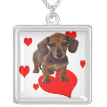 DACHSHUND Puppy with Hearts