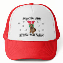 Dachshund Reindeer Hat
