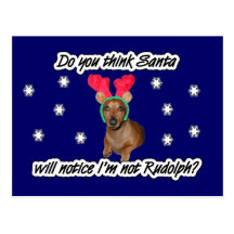 Dachshund Reindeer Postcard