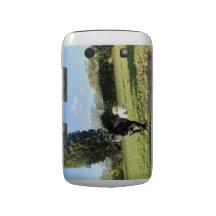 Dachshund running blackberry cover blackberry bold cover