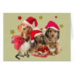 Dachshund Santa Paw Greeting Cards