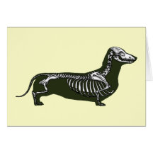 dachshund skeleton card