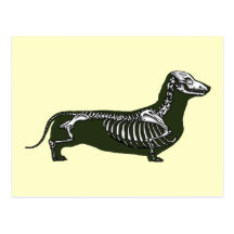 dachshund skeleton post cards