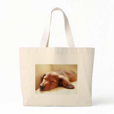 Dachshund sleeping canvas bag by PawsandClaws
