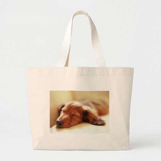 Dachshund sleeping canvas bag