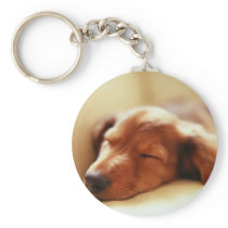 Dachshund sleeping key chains