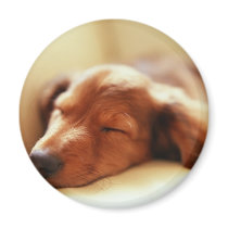 Dachshund sleeping magnet