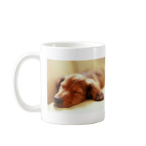 Dachshund sleeping mug