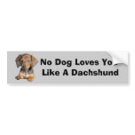 Dachshund So Cute Bumper Sticker