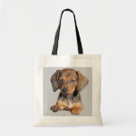 Dachshund So Cute Tote Bag