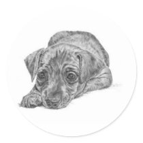Dachshund Stickers