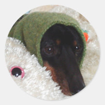 Dachshund Stickers