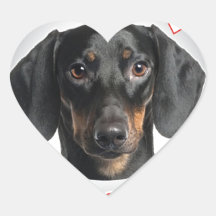 Dachshund Stickers