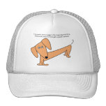 Dachshund Stupid Dog Tricks...for Poodles! Trucker Hats