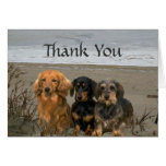 Dachshund Thank You Card Beach