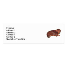Dachshundnt Modèles De Cartes De Visite