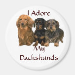 Dachshunds I Adore Magnet