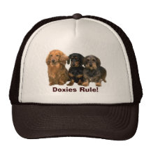 Dachshunds Rule Hat