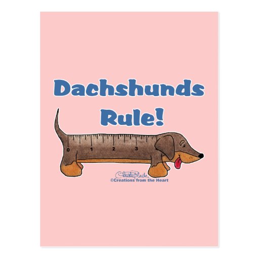 Dachshunds Rule Post Card