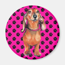 Dachsund Red Doxie Fridge Magnets