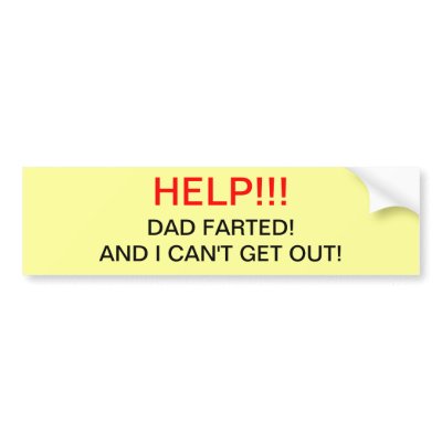 Dad Farted Bumper Sticker by stonedlion