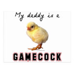 Daddy is a gamecock postcard
