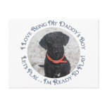 Daddy's Boy 3 Postcards