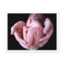 Daddy's Hands Postcard