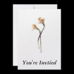 daf, You're Invtied invitations