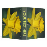 Daffodil and its meaning binders