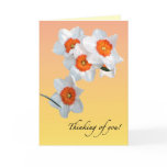 Daffodil Birthday cards
