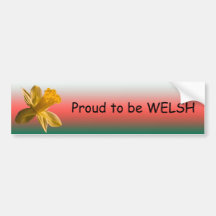 Daffodil Bumper Sticker