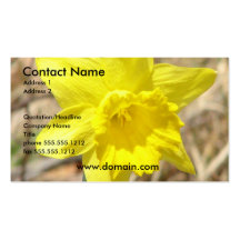 Daffodil Business Card