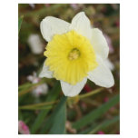 Daffodil Darling Personalized Letterhead