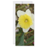 Daffodil Darling Customized Rack Card