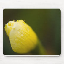Daffodil Droplets Mouse Pad