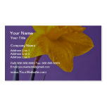 Daffodil  flowers business card template