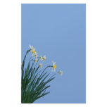 Daffodil Flowers Stationery