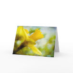 Daffodil • Greeting Card