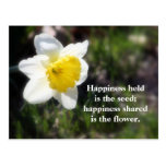 Daffodil Happiness Photography & Quote Postcard