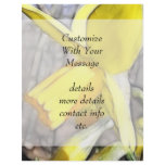 Daffodil In The Spring Woodlands Full Color Flyer