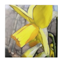Daffodil In The Spring Woodlands Ceramic Tiles