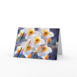 Daffodil Kalaidescope Cards